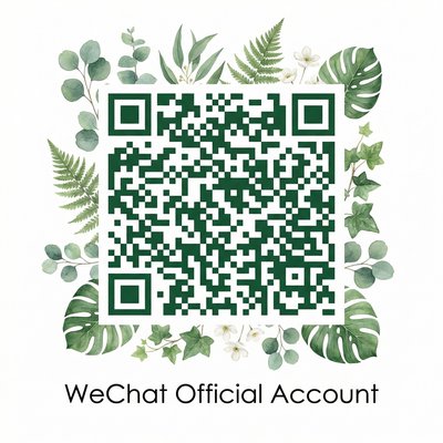 麻豆传媒公众号二维码